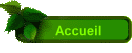 Accueil